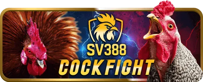 Quy Trình Cá Cược f88 web